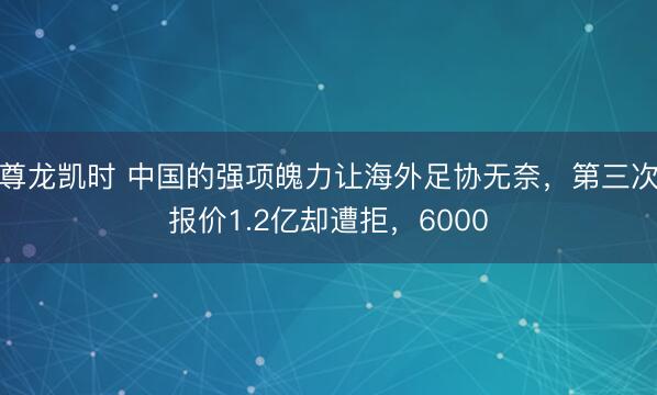 尊龙凯时 中国的强项魄力让海外足协无奈，第三次报价1.2亿却遭拒，6000