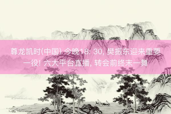 尊龙凯时(中国) 今晚18: 30， 樊振东迎来重要一役! 六大平台直播， 转会前终末一舞