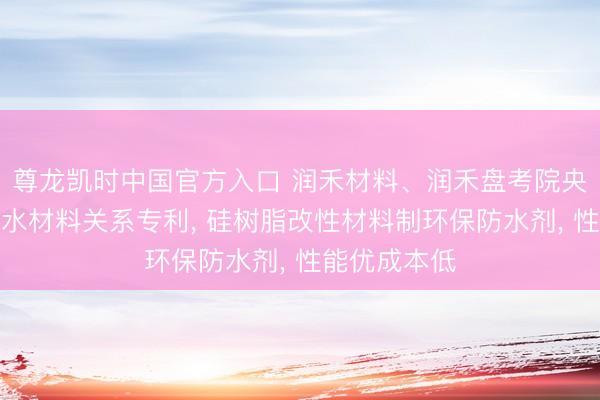 尊龙凯时中国官方入口 润禾材料、润禾盘考院央求硅树脂防水材料关系专利， 硅树脂改性材料制环保防水剂， 性能优成本低