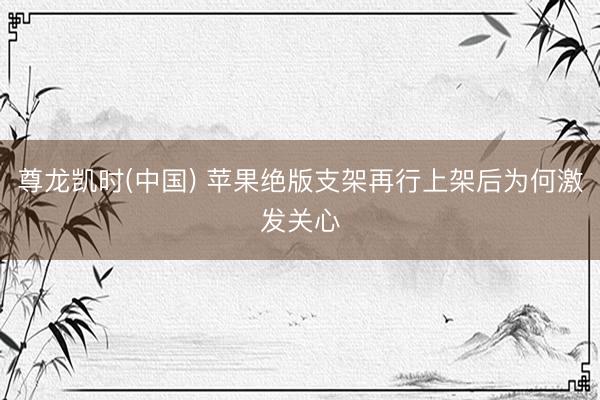 尊龙凯时(中国) 苹果绝版支架再行上架后为何激发关心