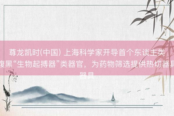尊龙凯时(中国) 上海科学家开导首个东谈主类腹黑“生物起搏器”类器官，为药物筛选提供热切器具