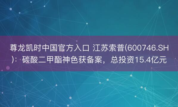 尊龙凯时中国官方入口 江苏索普(600746.SH)：碳酸二甲酯神色获备案，总投资15.4亿元