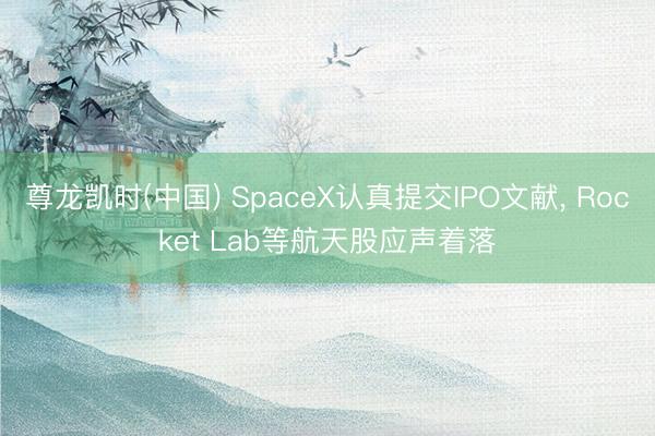 尊龙凯时(中国) SpaceX认真提交IPO文献， Rocket Lab等航天股应声着落