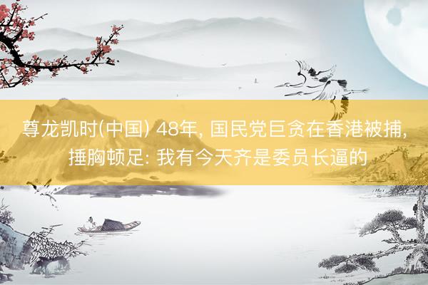 尊龙凯时(中国) 48年， 国民党巨贪在香港被捕， 捶胸顿足: 我有今天齐是委员长逼的