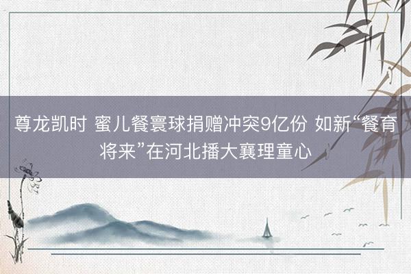 尊龙凯时 蜜儿餐寰球捐赠冲突9亿份 如新“餐育将来”在河北播大襄理童心