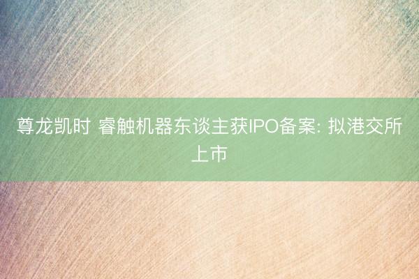 尊龙凯时 睿触机器东谈主获IPO备案: 拟港交所上市
