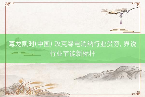 尊龙凯时(中国) 攻克绿电消纳行业贫穷， 界说行业节能新标杆