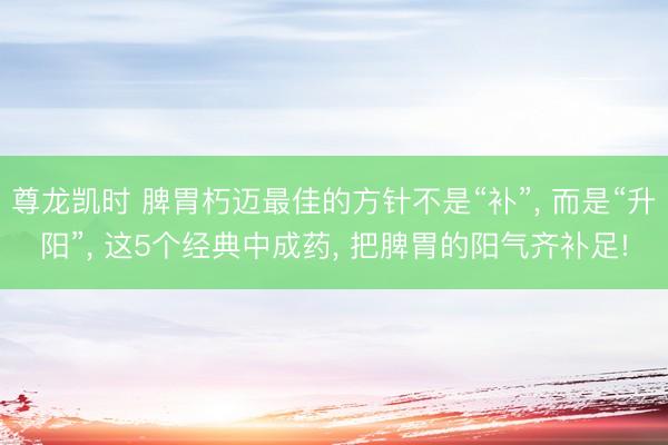 尊龙凯时 脾胃朽迈最佳的方针不是“补”， 而是“升阳”， 这5个经典中成药， 把脾胃的阳气齐补足!