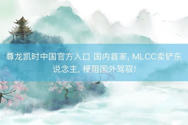 尊龙凯时中国官方入口 国内首家， MLCC卖铲东说念主， 梗阻国外驾驭!