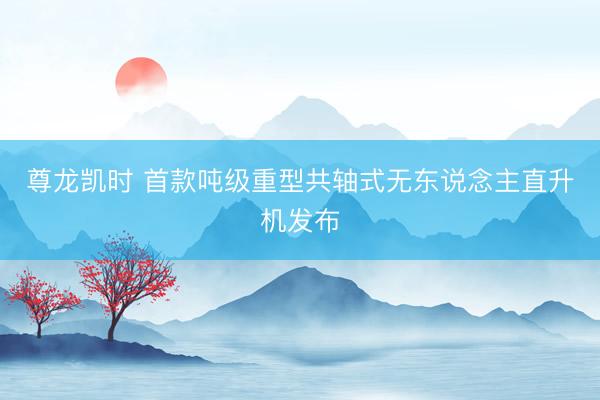 尊龙凯时 首款吨级重型共轴式无东说念主直升机发布