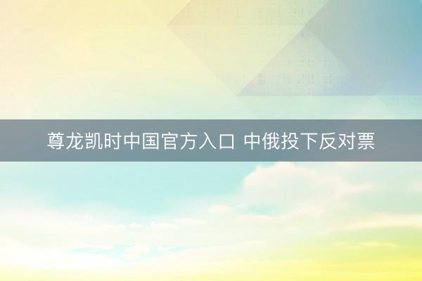 尊龙凯时中国官方入口 中俄投下反对票