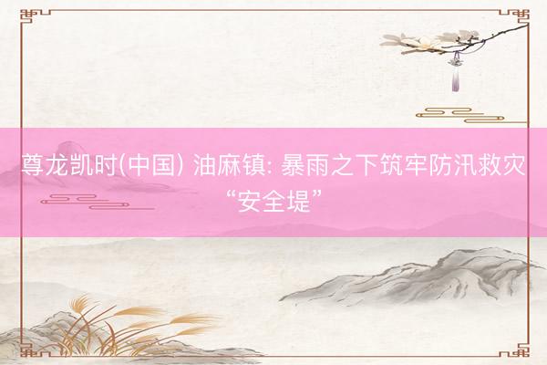 尊龙凯时(中国) 油麻镇: 暴雨之下筑牢防汛救灾“安全堤”