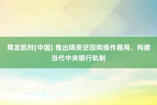 尊龙凯时(中国) 推出隔夜逆回购操作器用，构建当代中央银行轨制